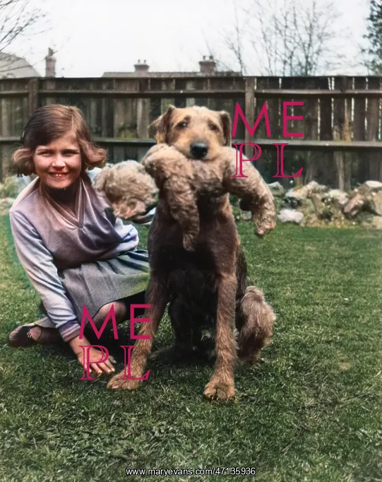 : Girl with dog and teddy bear : Girl with dog and teddy bear