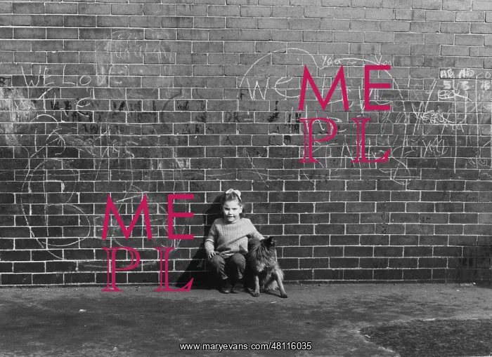 : Girl and dog with wall of graffiti : Girl and dog with wall of graffiti