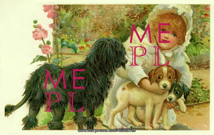 : Girl with dogs : Girl with dogs