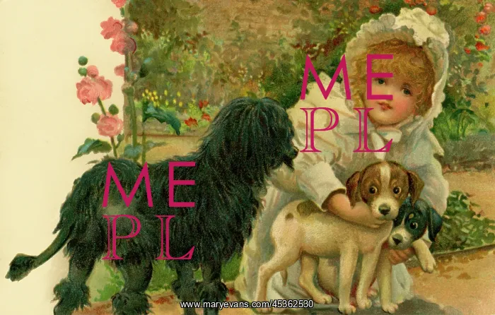 : Girl with three dogs : Girl with three dogs