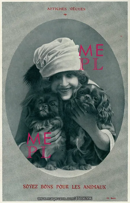  : GIRL AND TWO DOGS