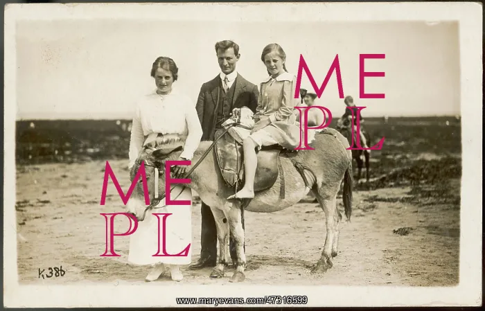 : Girl, Donkey, Parents : Girl, Donkey, Parents
