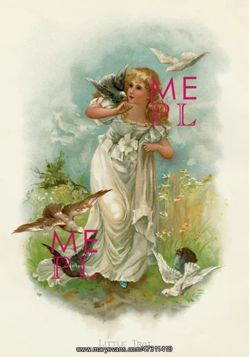  : GIRL AND DOVES C1880