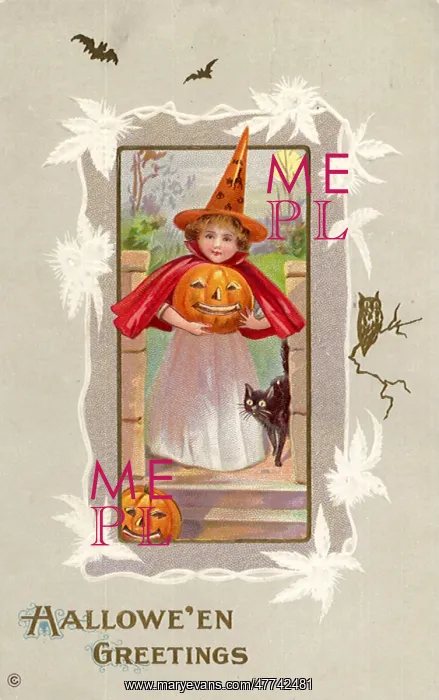 : Girl Dressed as a witch for Halloween : Girl Dressed as a witch for Halloween