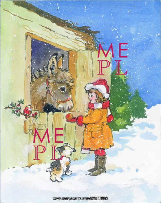 : Girl feeding donkey in the snow : Girl feeding donkey in the snow