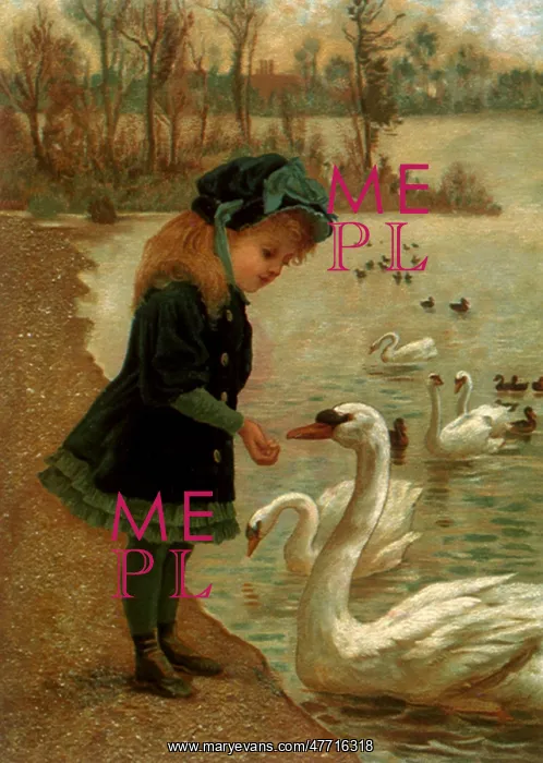  : Girl Feeding Swan