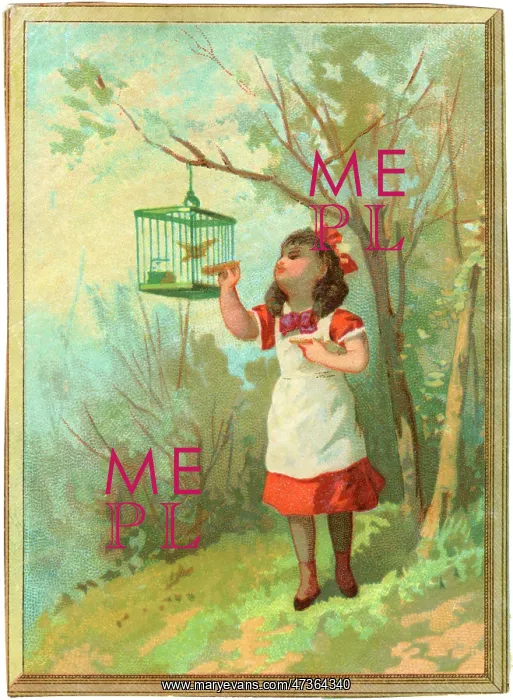 : GIRL FEEDS CAGED BIRD : GIRL FEEDS CAGED BIRD