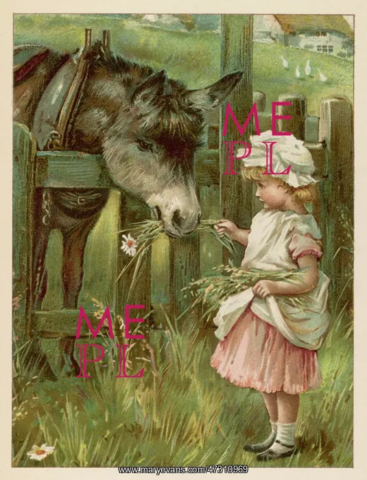 : GIRL FEEDS DONKEY C1885 : GIRL FEEDS DONKEY C1885