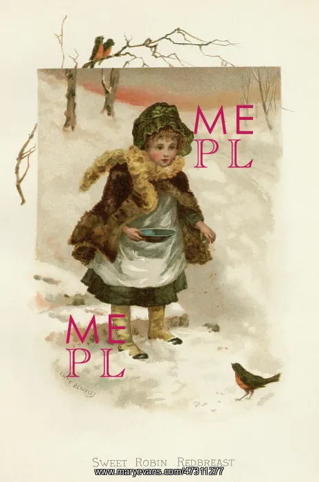  : GIRL FEEDS ROBIN C1880