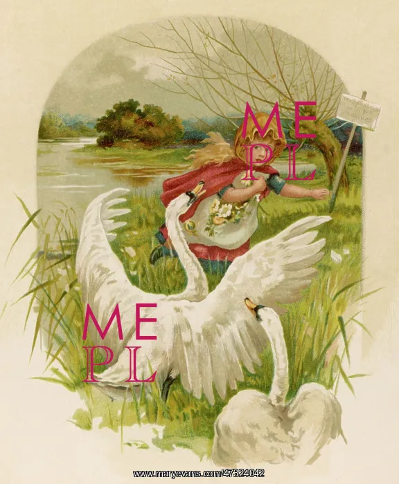 : GIRL FLEES SWANS : GIRL FLEES SWANS