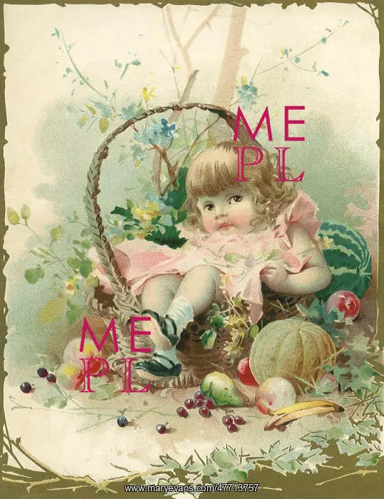 : Girl in Fruit Basket : Girl in Fruit Basket