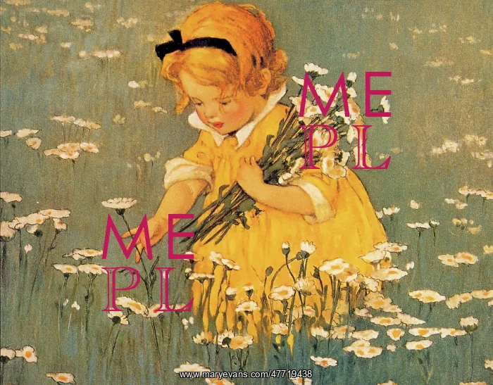: Girl Gathering Daisies : Girl Gathering Daisies