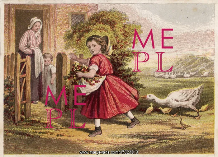  : GIRL AND GEESE