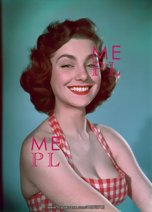 : GIRL IN GINGHAM 1950S : GIRL IN GINGHAM 1950S