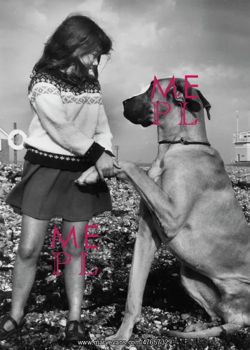 : Girl with Great Dane on a pebbly beach : Girl with Great Dane on a pebbly beach