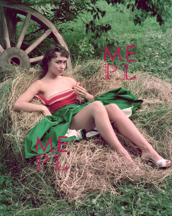 : GIRL AND HAY CART : GIRL AND HAY CART