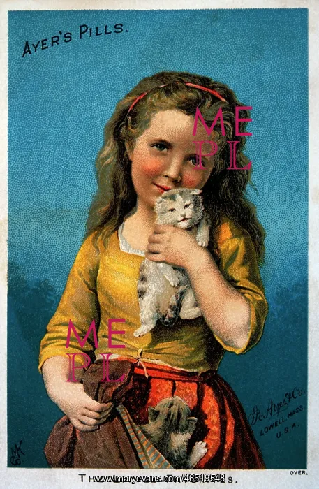 : Girl Holding Kitten : Girl Holding Kitten