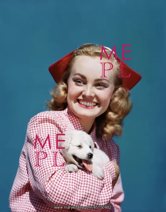 : Girl Holding Her Spitz Puppy : Girl Holding Her Spitz Puppy