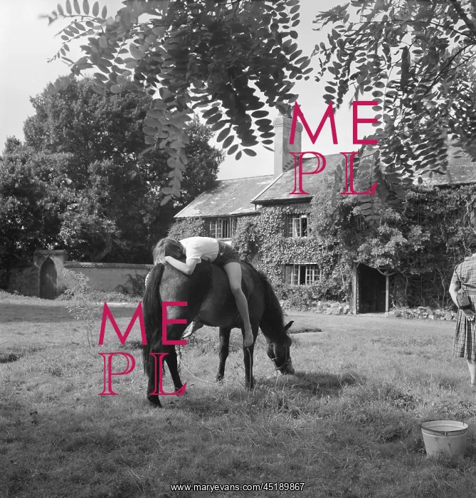 : Girl and horse : Girl and horse