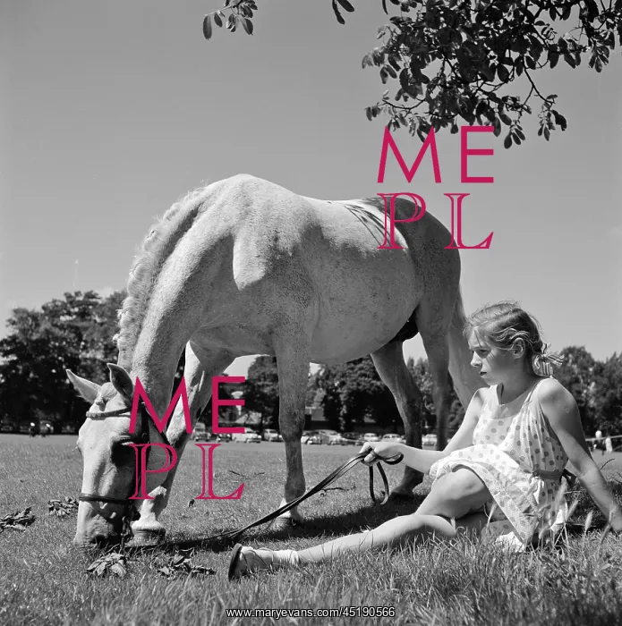 : Girl and horse : Girl and horse