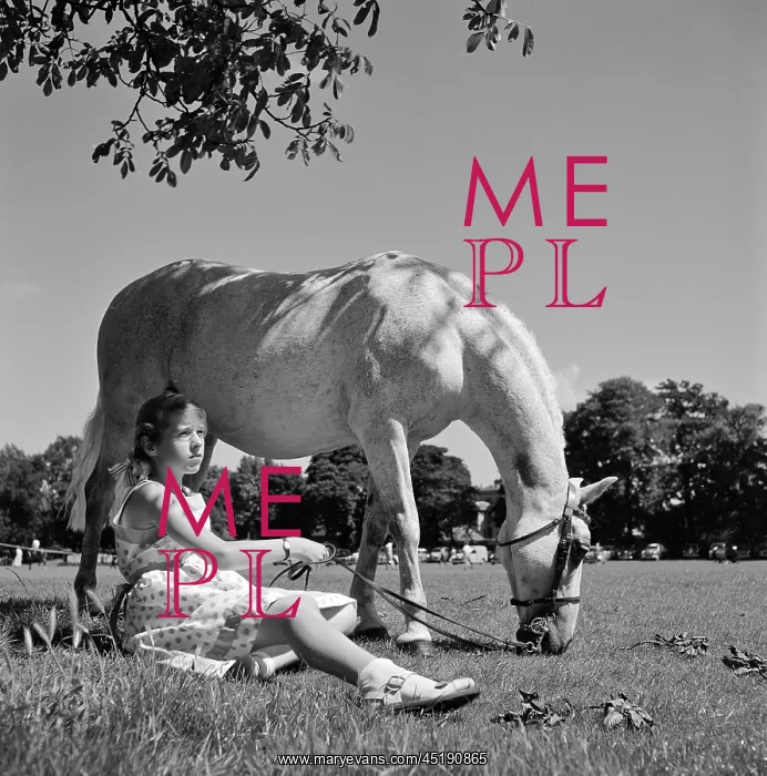 : Girl and horse : Girl and horse