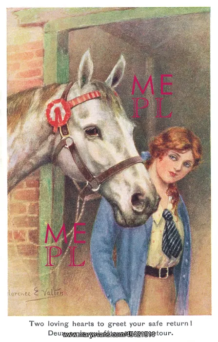 : A Girl & Her Horse : A Girl & Her Horse