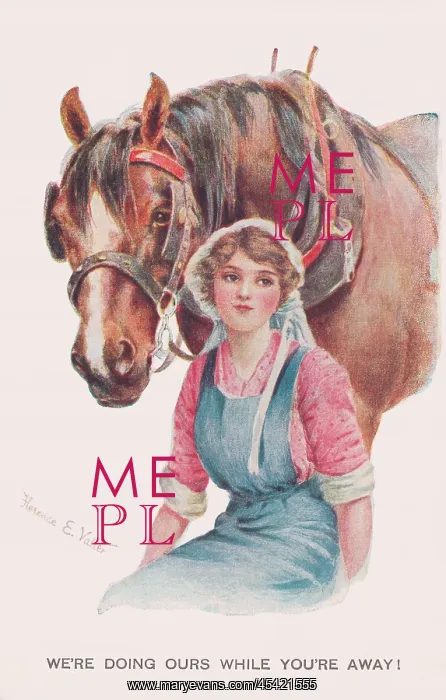 : A Girl & Her Horse : A Girl & Her Horse