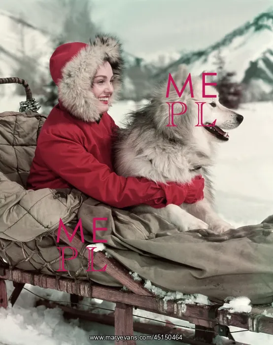 : Girl And Her Husky On Dogsled : Girl And Her Husky On Dogsled