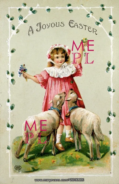 : Girl with lambs on an Easter card : Girl with lambs on an Easter card