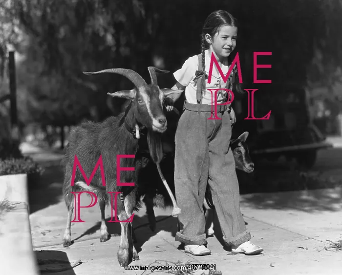  : Girl leading two goats