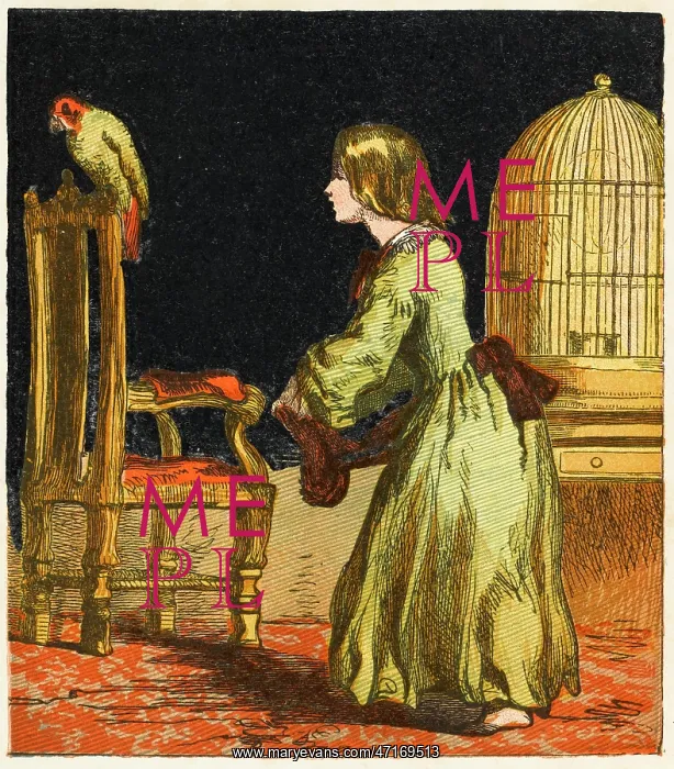 : GIRL LETS BIRD OUT 1867 : GIRL LETS BIRD OUT 1867