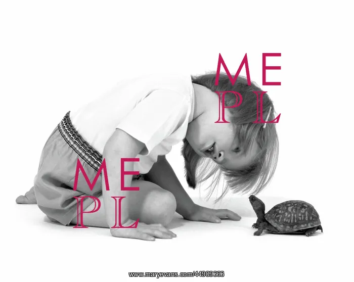 : Girl looking at box turtle : Girl looking at box turtle