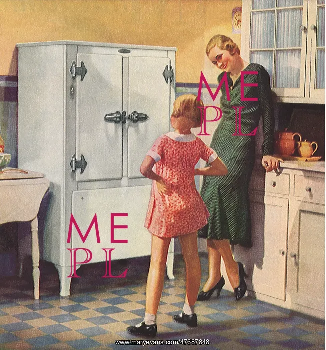  : Girl and New Fridge