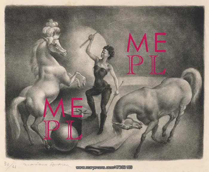 : GIRL & PERFORMING HORSES : GIRL & PERFORMING HORSES
