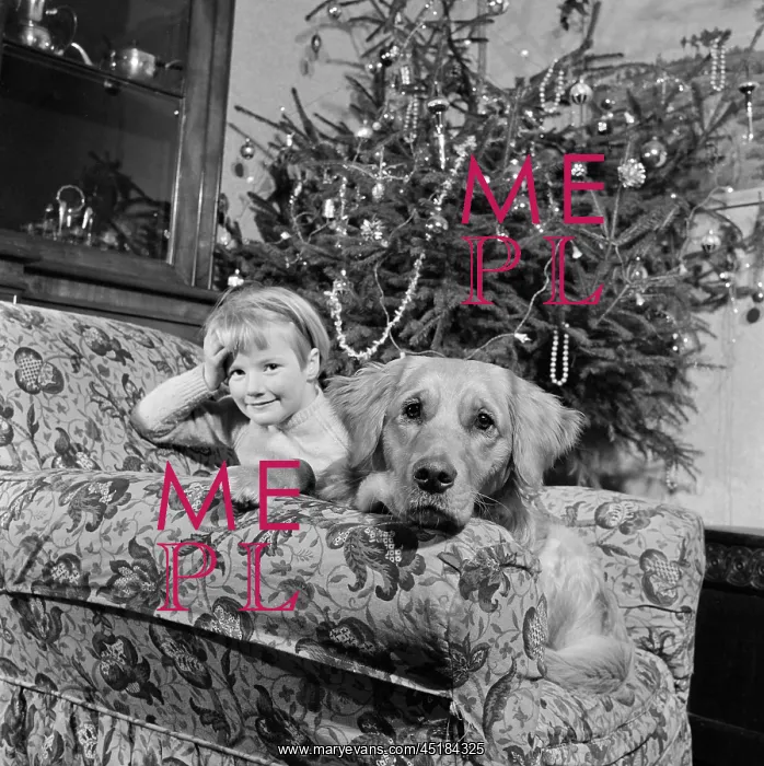 : Girl With Pet Dog : Girl With Pet Dog