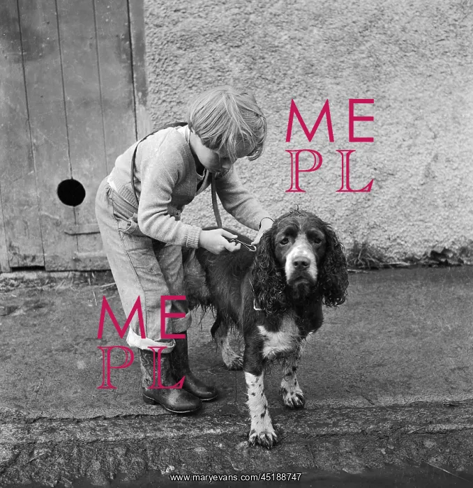 : Girl and pet Spaniel : Girl and pet Spaniel