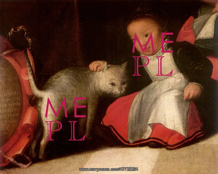  : Girl petting a White Cat