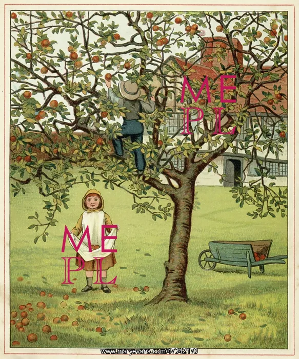: Girl Picks Fruit 1881 : Girl Picks Fruit 1881