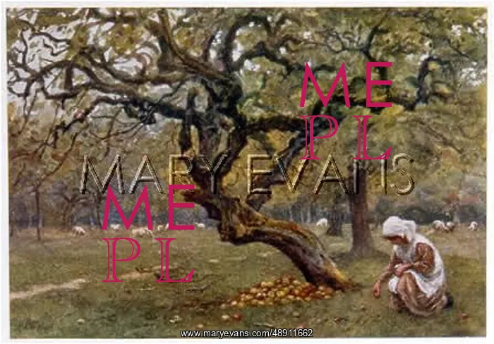 : GIRL PICKS FRUIT C1877 : GIRL PICKS FRUIT C1877