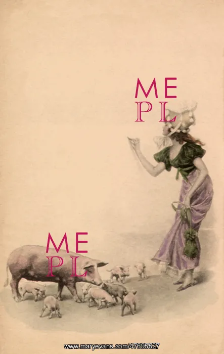  : Girl, Pig and Piglets