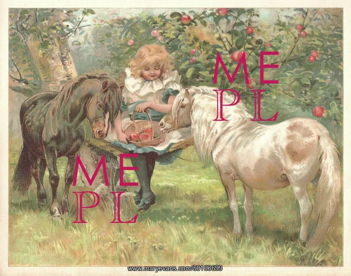 : Girl with Ponies : Girl with Ponies