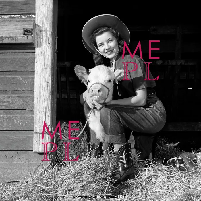  : Girl Posing With Calf In Straw