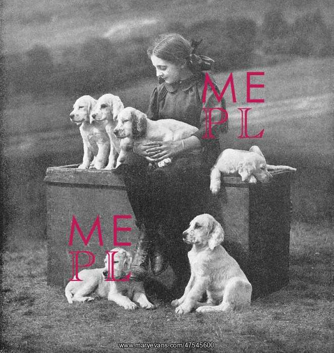 : Girl with puppies : Girl with puppies