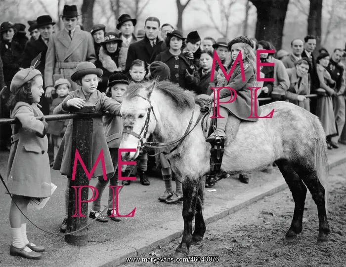 : Girl riding a pony : Girl riding a pony