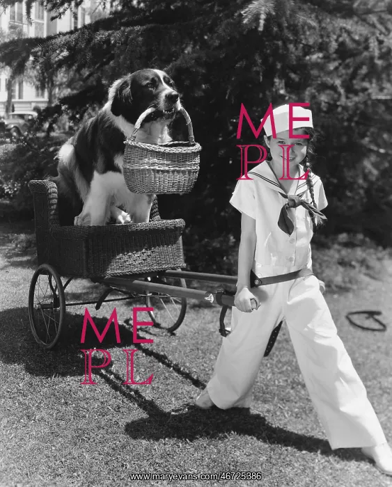 : Girl in sailor suit pulling dog in basket : Girl in sailor suit pulling dog in basket