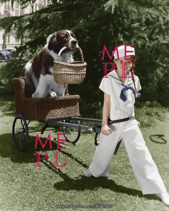 : Girl in sailor suit pulling dog in basket : Girl in sailor suit pulling dog in basket