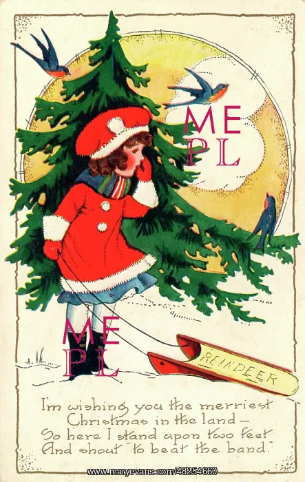: Girl with sledge in front of fir tree : Girl with sledge in front of fir tree
