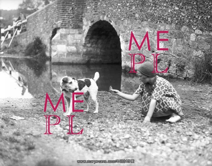 : GIRL AND TERRIER : GIRL AND TERRIER
