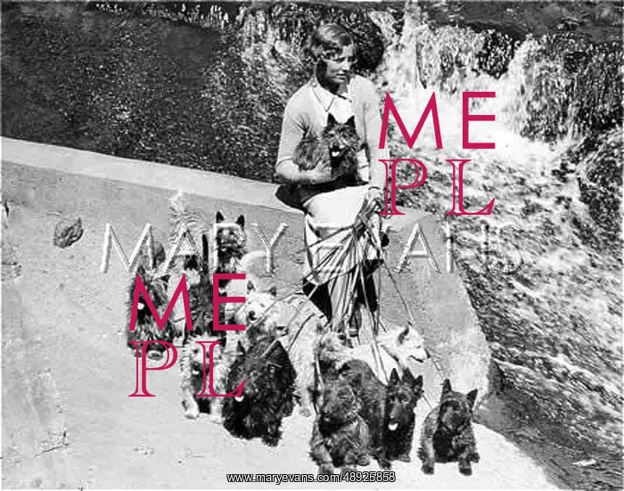 : GIRL WITH TERRIERS : GIRL WITH TERRIERS