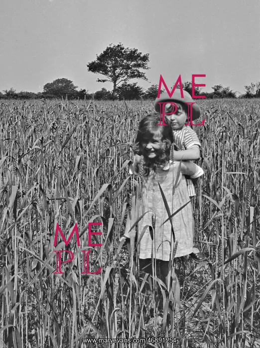  : Girl and toddler in a cornfield